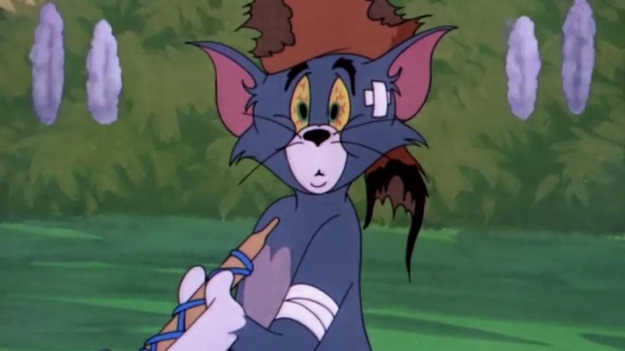 Tom und die kleinen Indianer