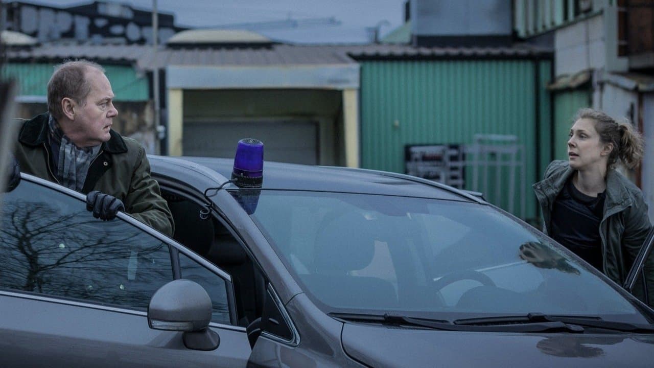 Kommissar Beck 31 - Schüsse auf Gunvald