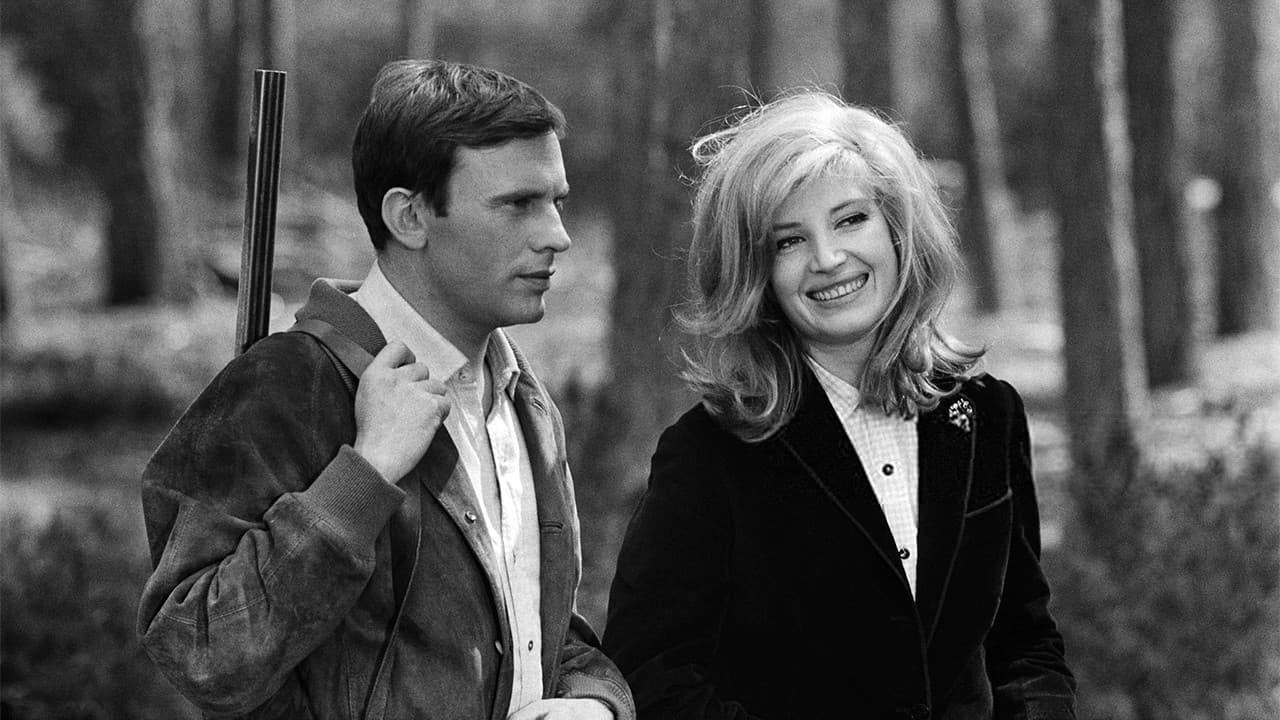 Ein Schloß in Schweden