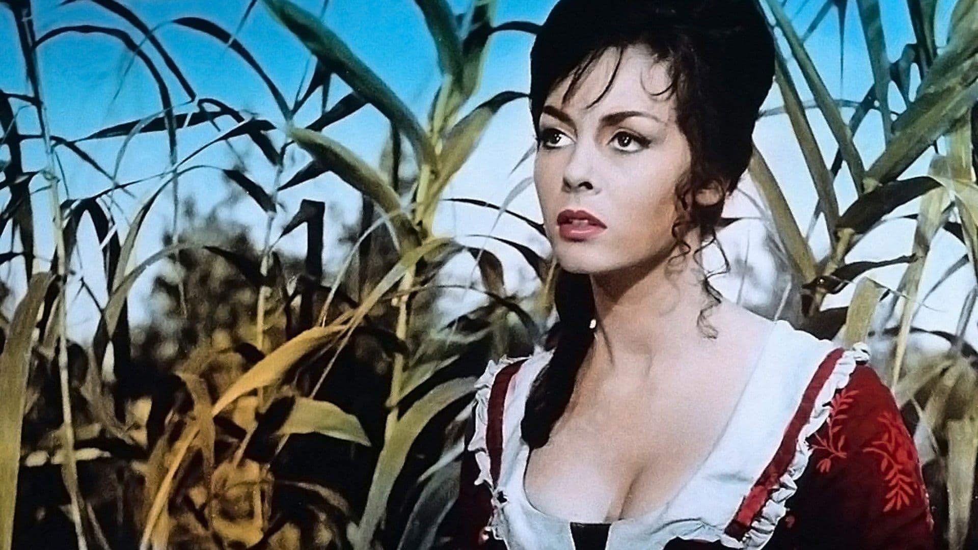 Frauen für die Teufelsinsel