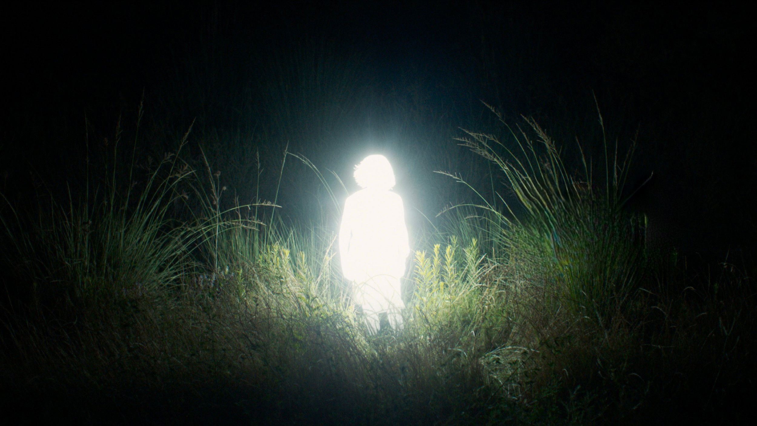 Crónicas de una santa errante