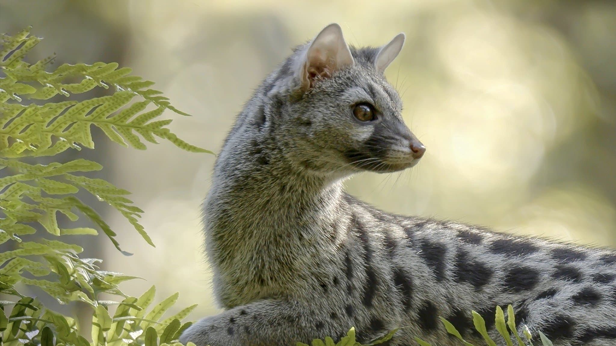 Europas verborgene Naturwunder