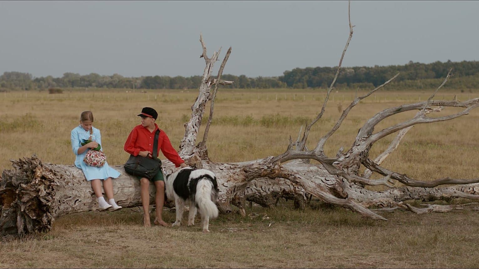 Die Abenteuer des kleinen Schuhmachers Lapitch