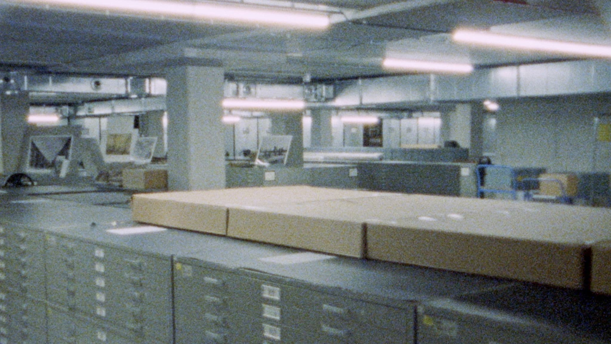 Seen From Here, I Feel Like Belonging