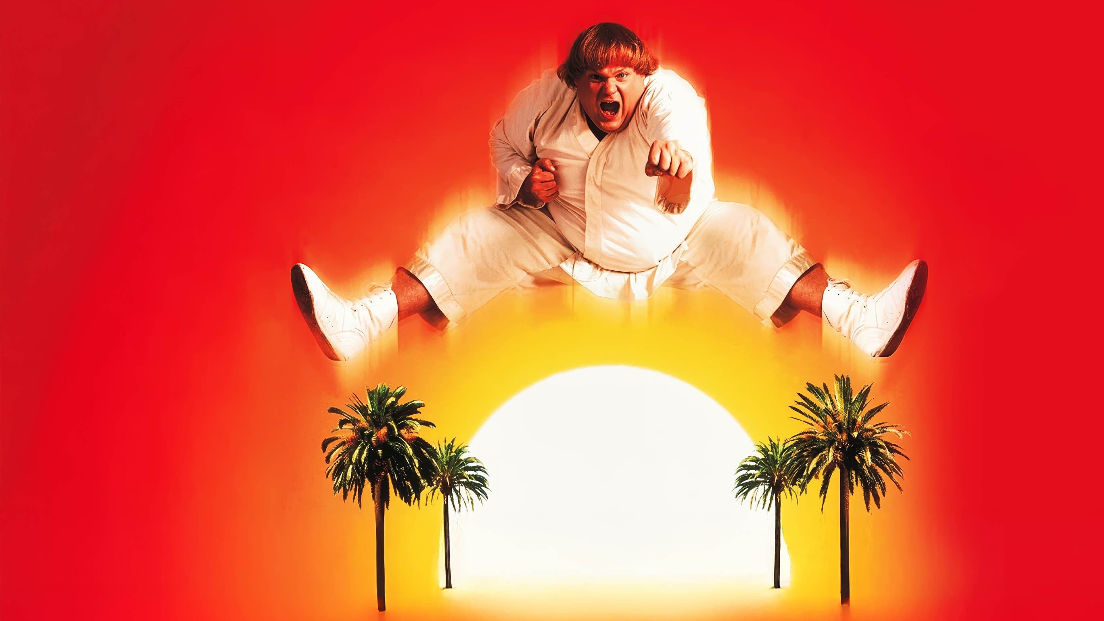 Beverly Hills Ninja - Die Kampfwurst