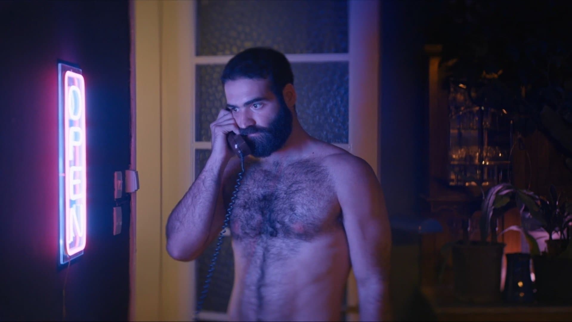 Der Sommer mit Carmen