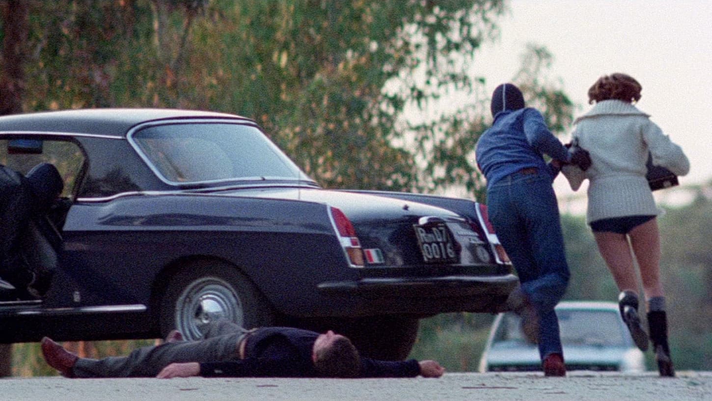 Wie tollwütige Hunde