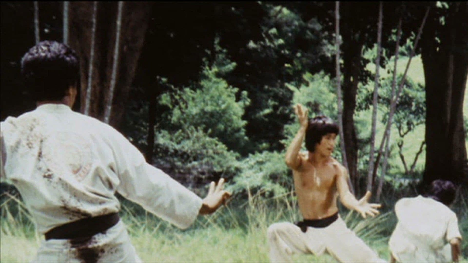 Bruce Lee - Das geheime Kung Fu