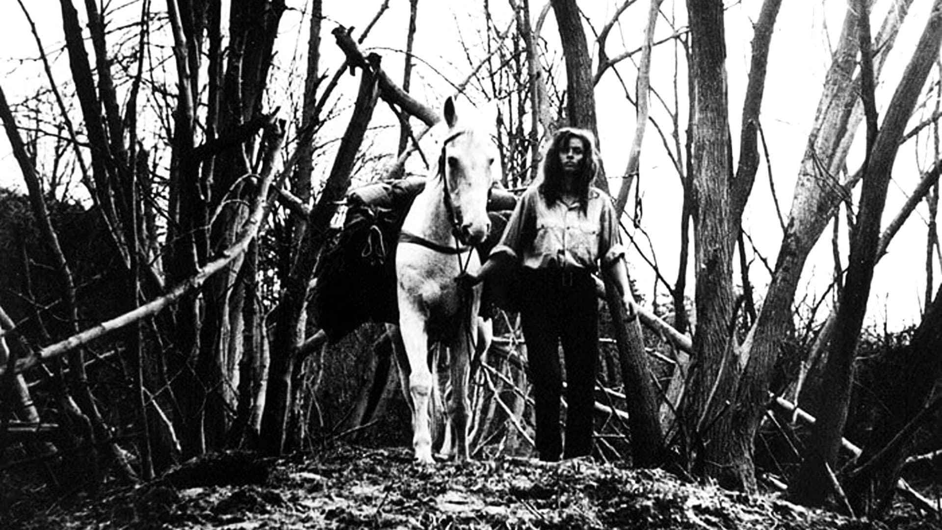 Konec srpna v Hotelu Ozon