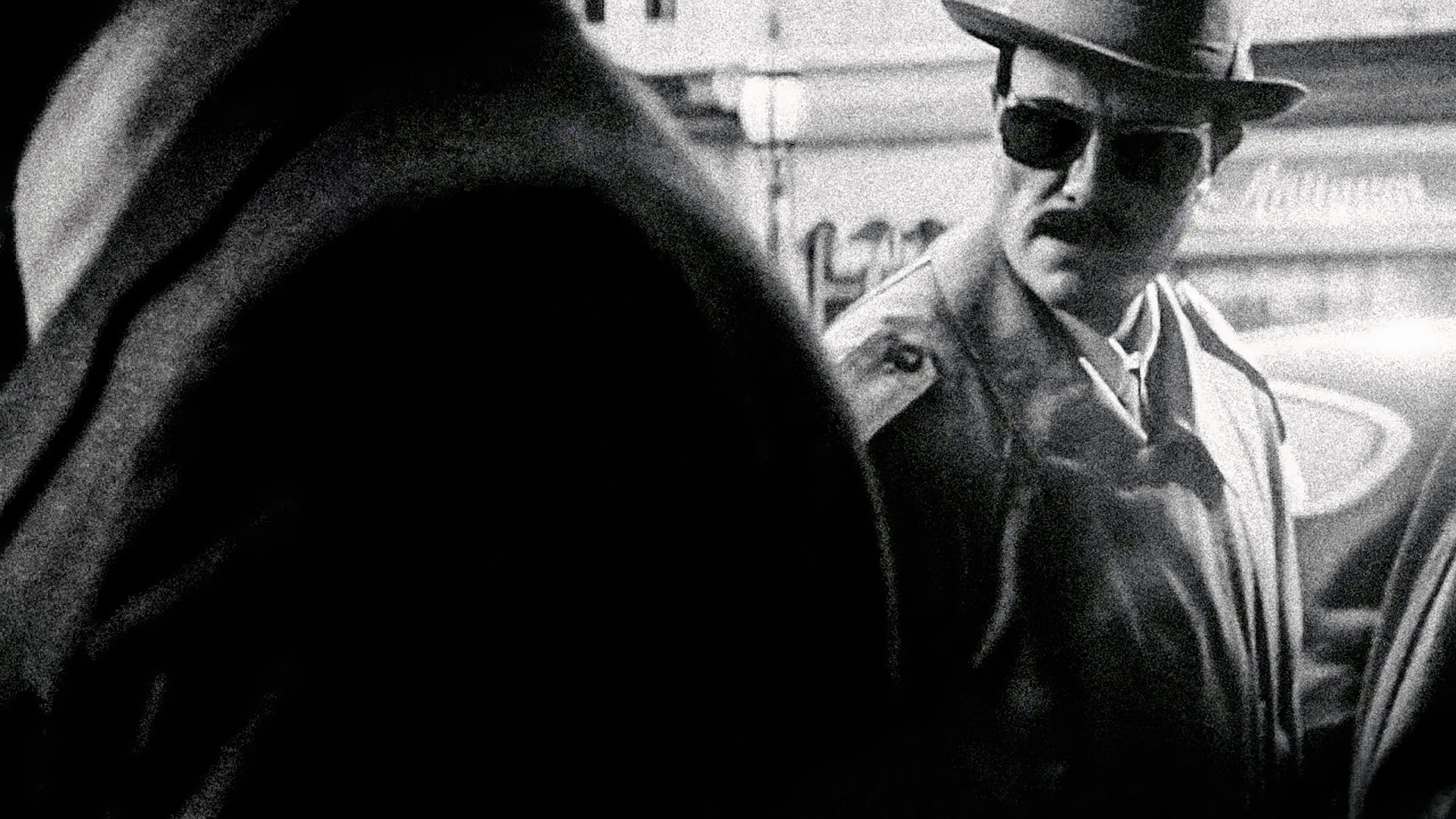 Das Verschwinden des Josef Mengele