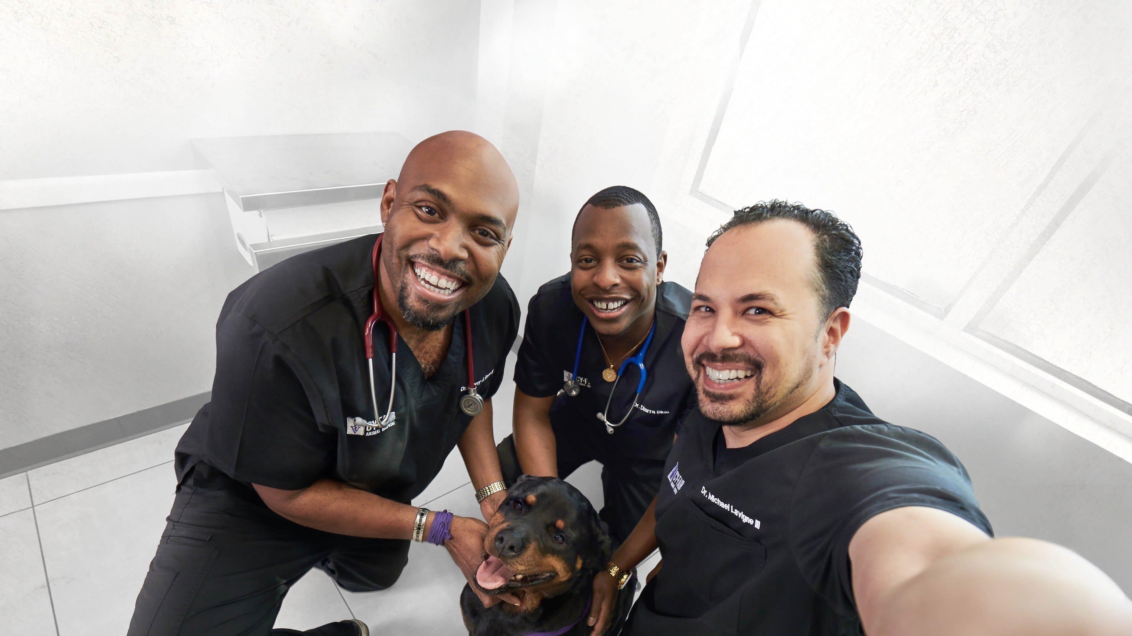 Die Tierärzte von Houston