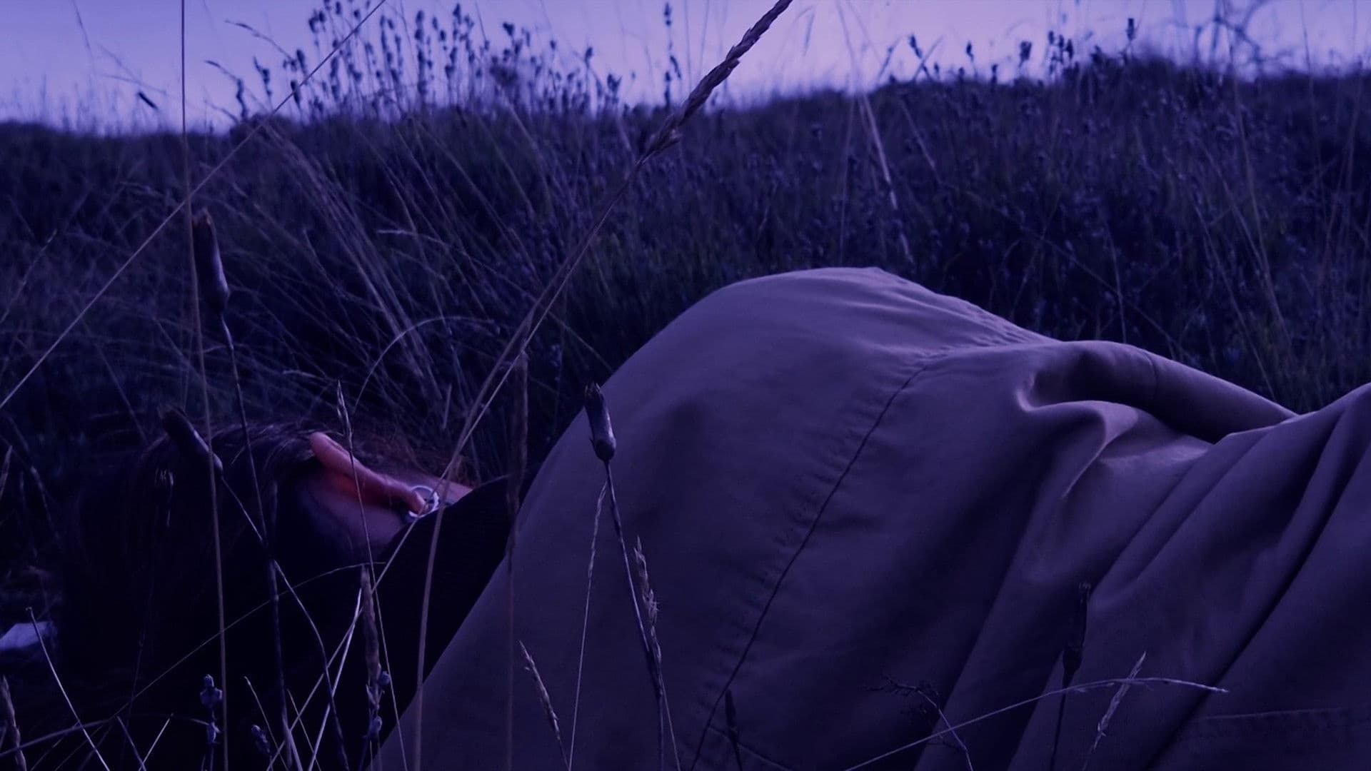 Fantaisie Pour Une Autre Fois