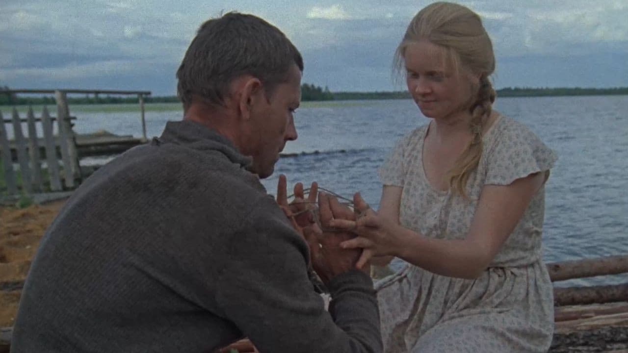 Der kalte Sommer des Jahres 53...