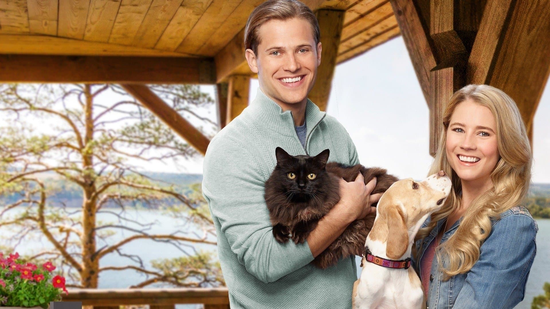 Zwei wie Hund und Katz'