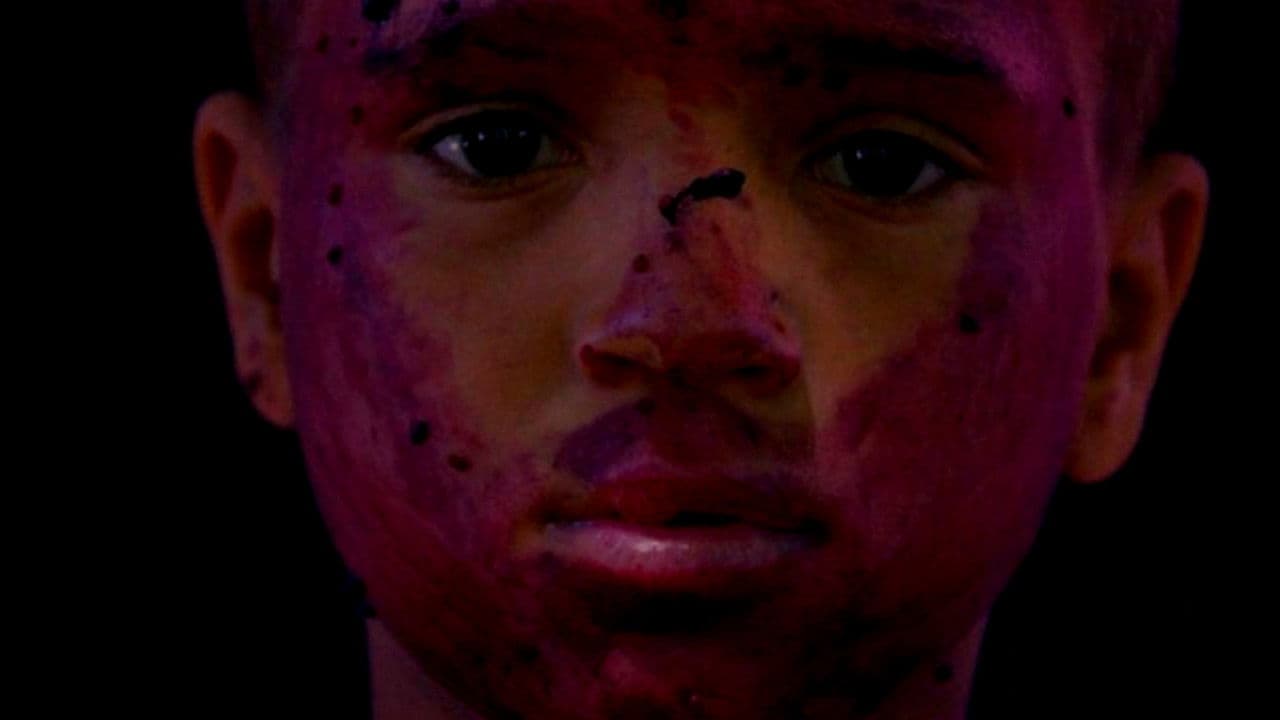 Stimmen ohne Grenzen - Die Musik der Roma