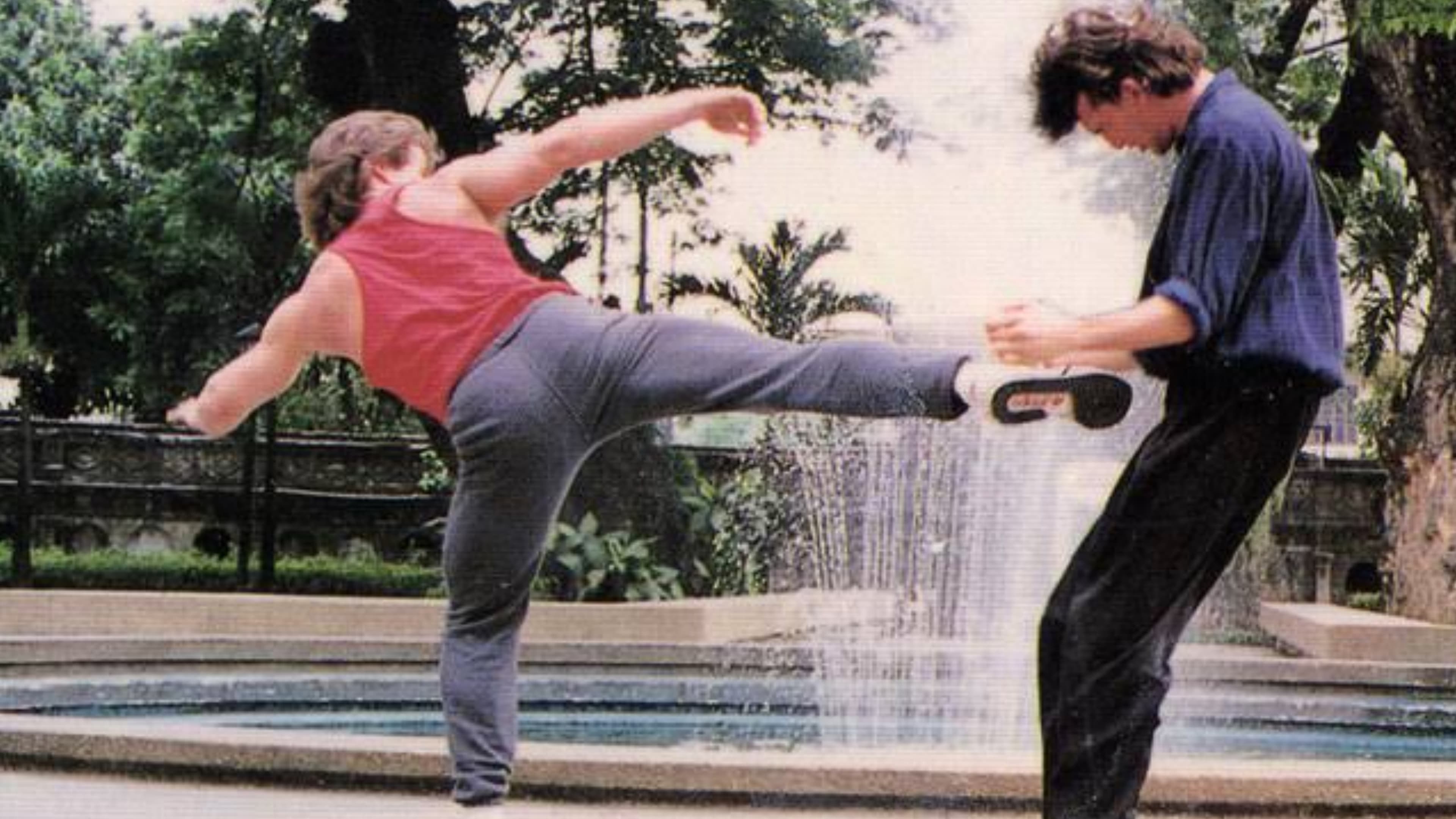 Kickbox Terminator - Der Vollstrecker