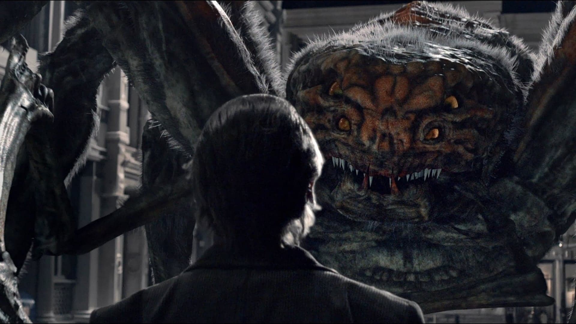 Spider City - Stadt der Spinnen