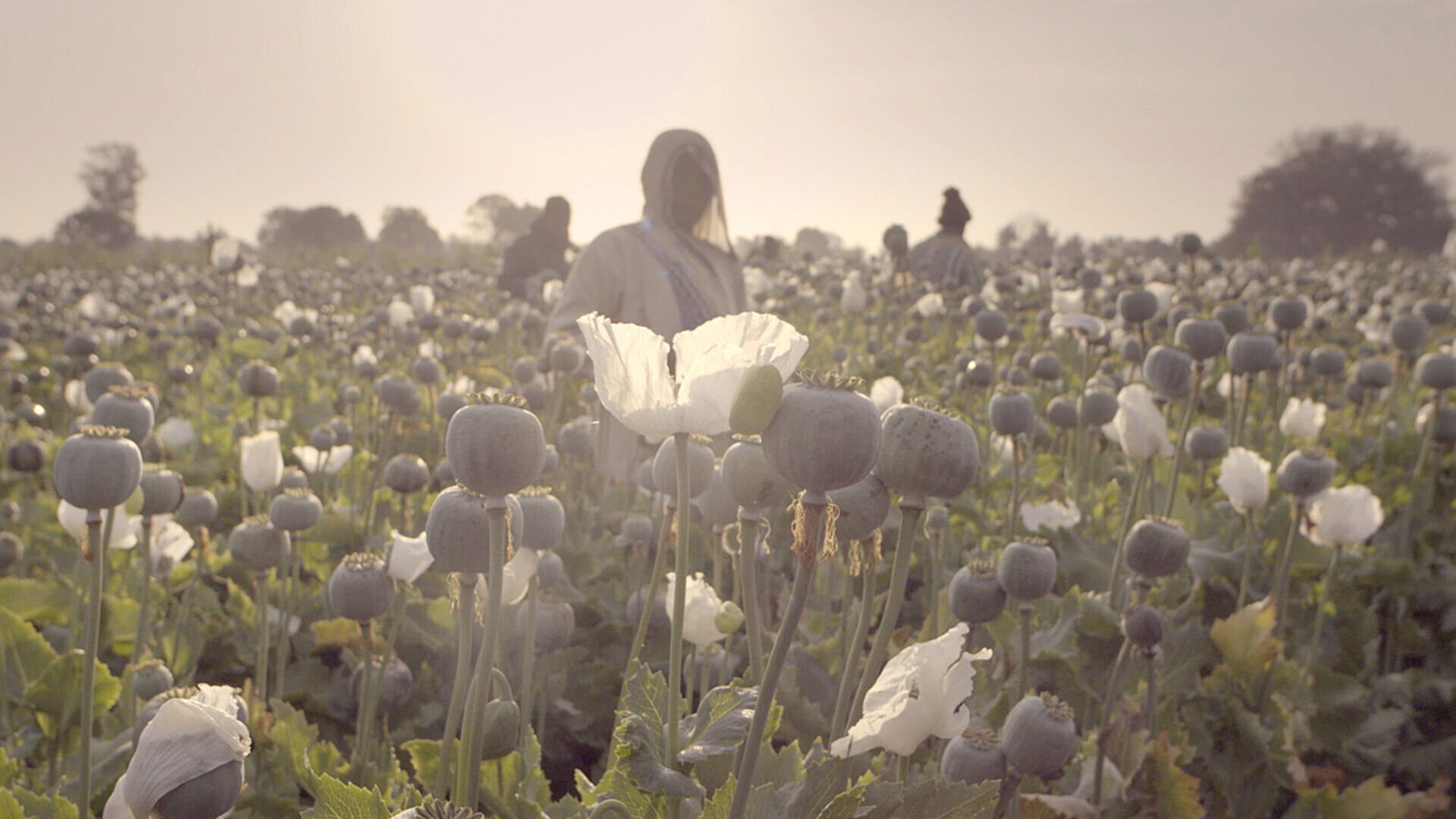 Das Jahrhundertverbrechen