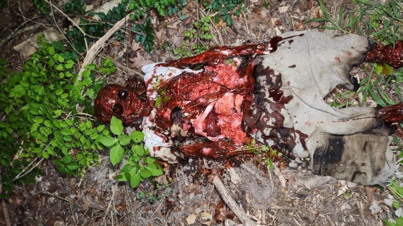 Lights Over Montgomery County