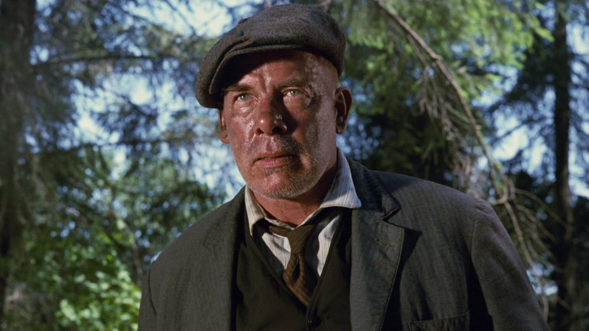 Ein Zug für zwei Halunken