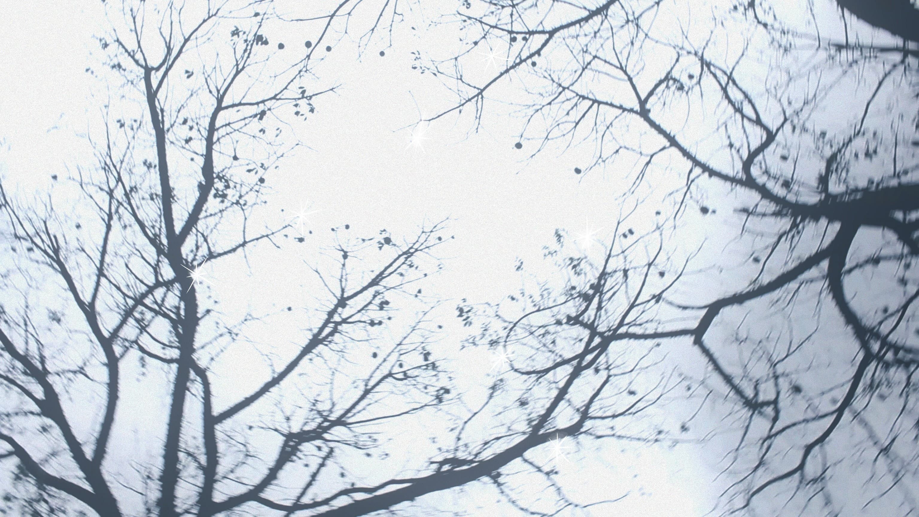 Eu me tornei outra coisa