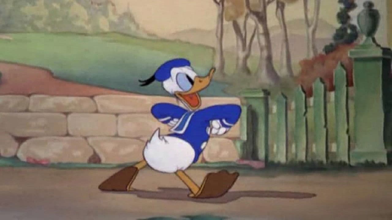 Der freiwillige Helfer