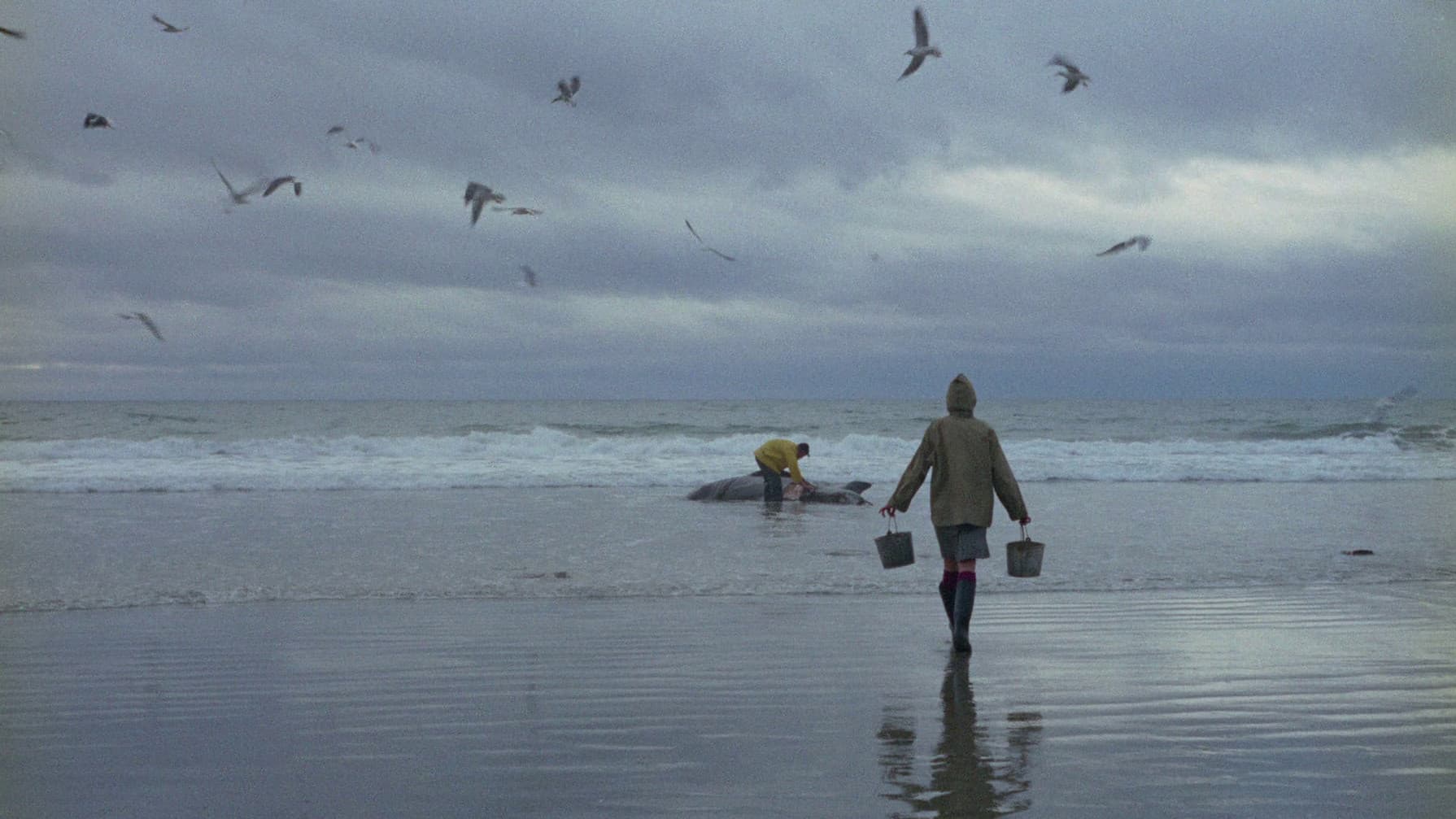 Mein Freund, der Otter