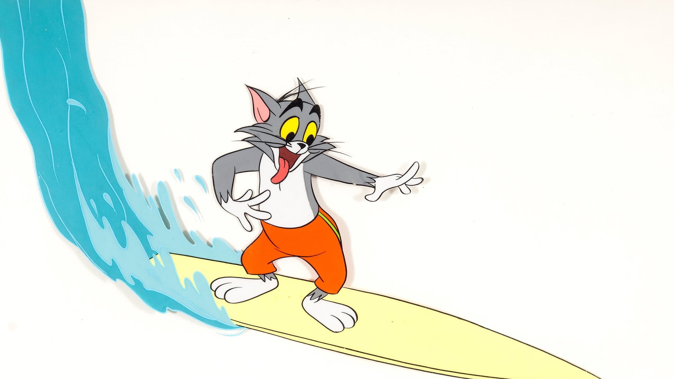 Tom der Supersurfer