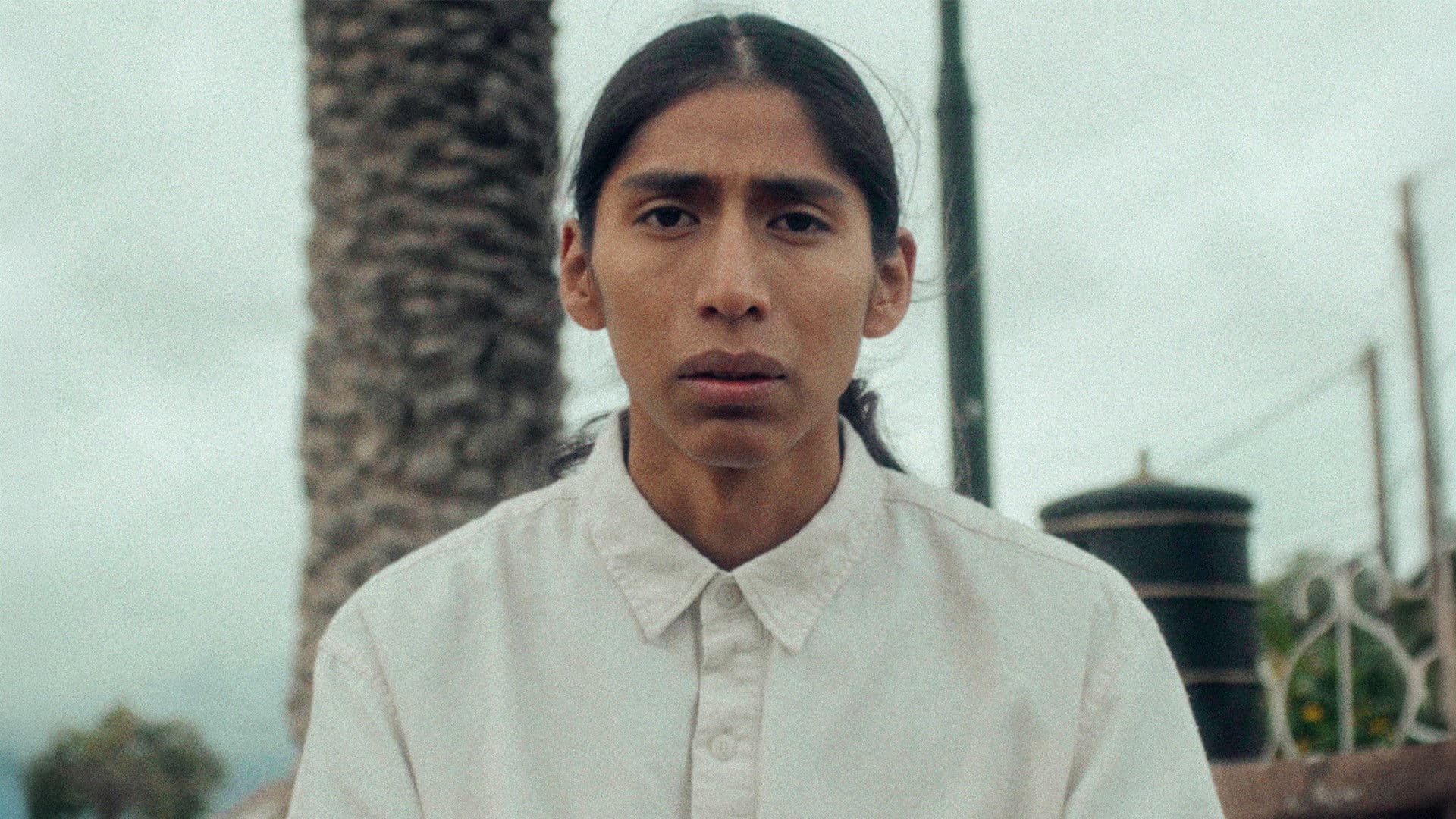 Crónica de una Desdicha Hereditaria