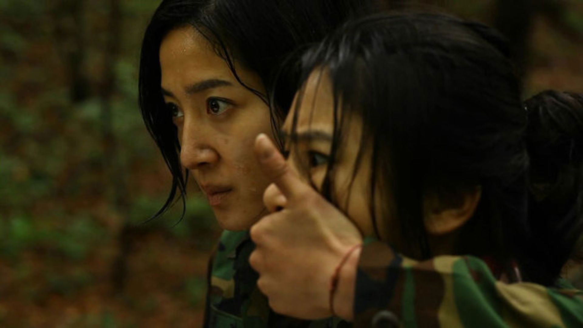 군사통제구역 팔이공지대