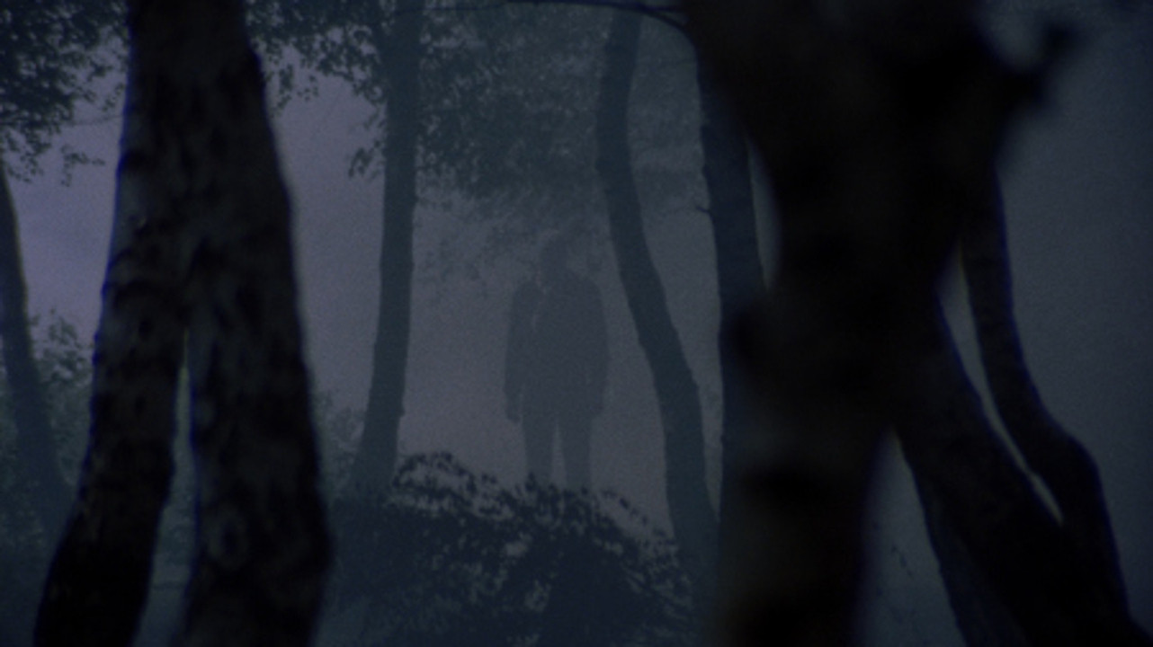 Torso - Die SĂ€ge des Teufels