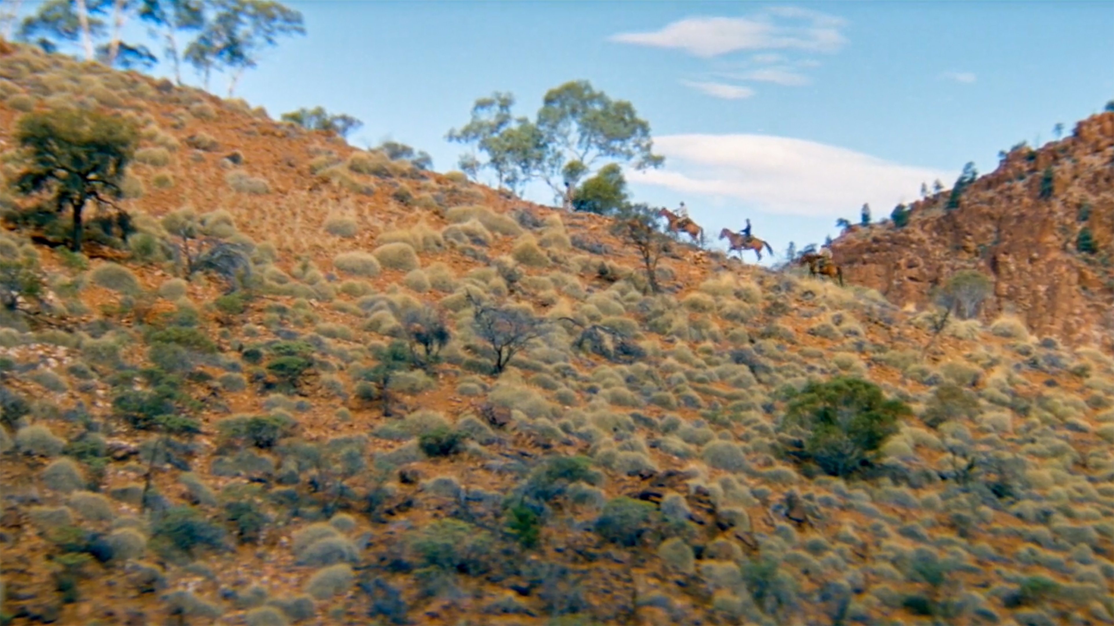 The Tracker - Im Zeichen der Rache