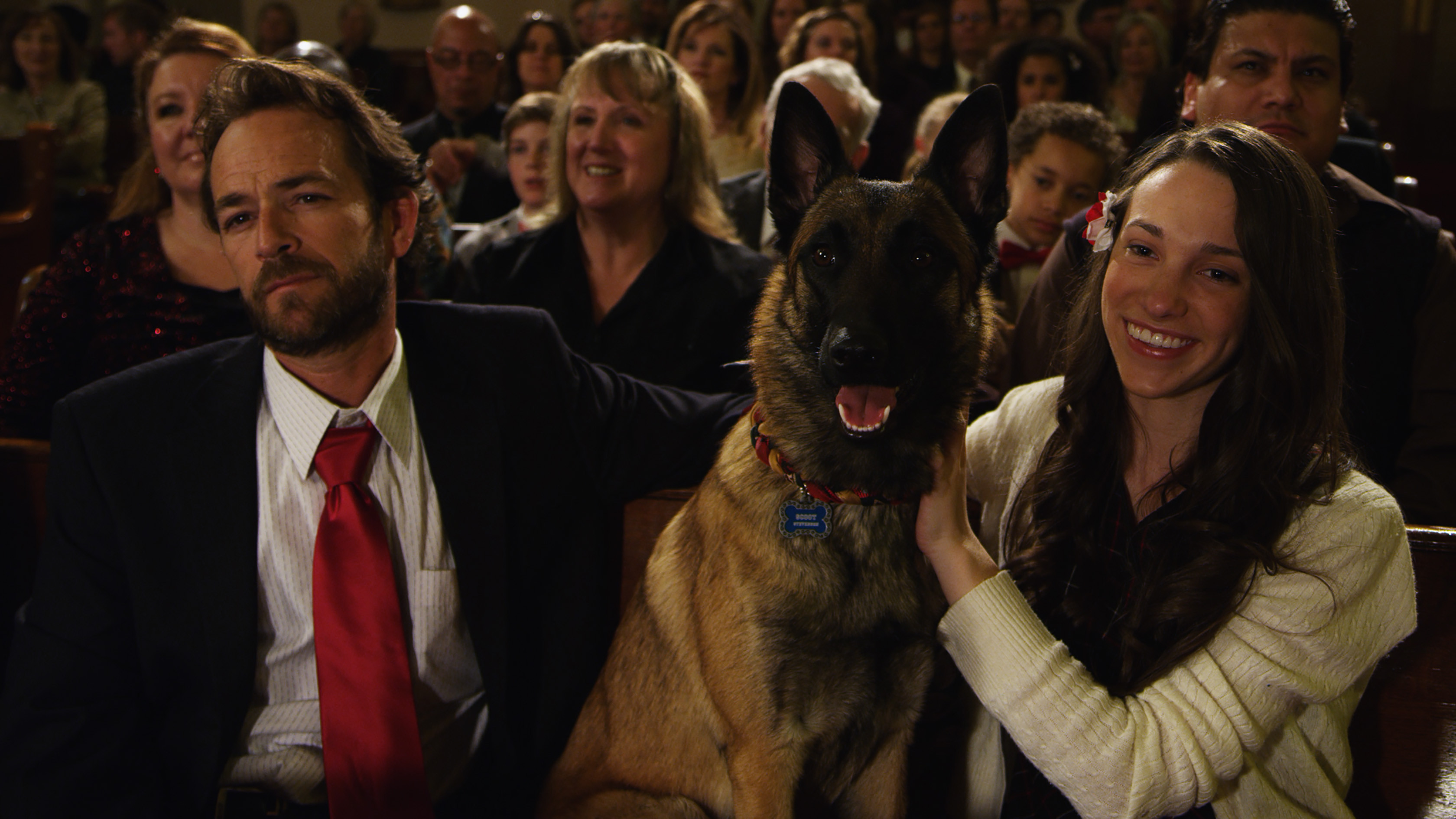 K9 - Das große Weihnachtsabenteuer