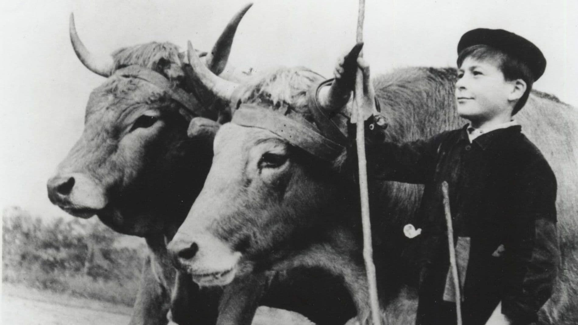 Farrebique ou les Quatre Saisons