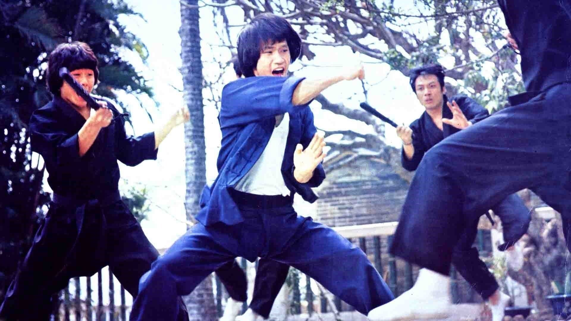 Bruce Lee - Seine tödliche Rache