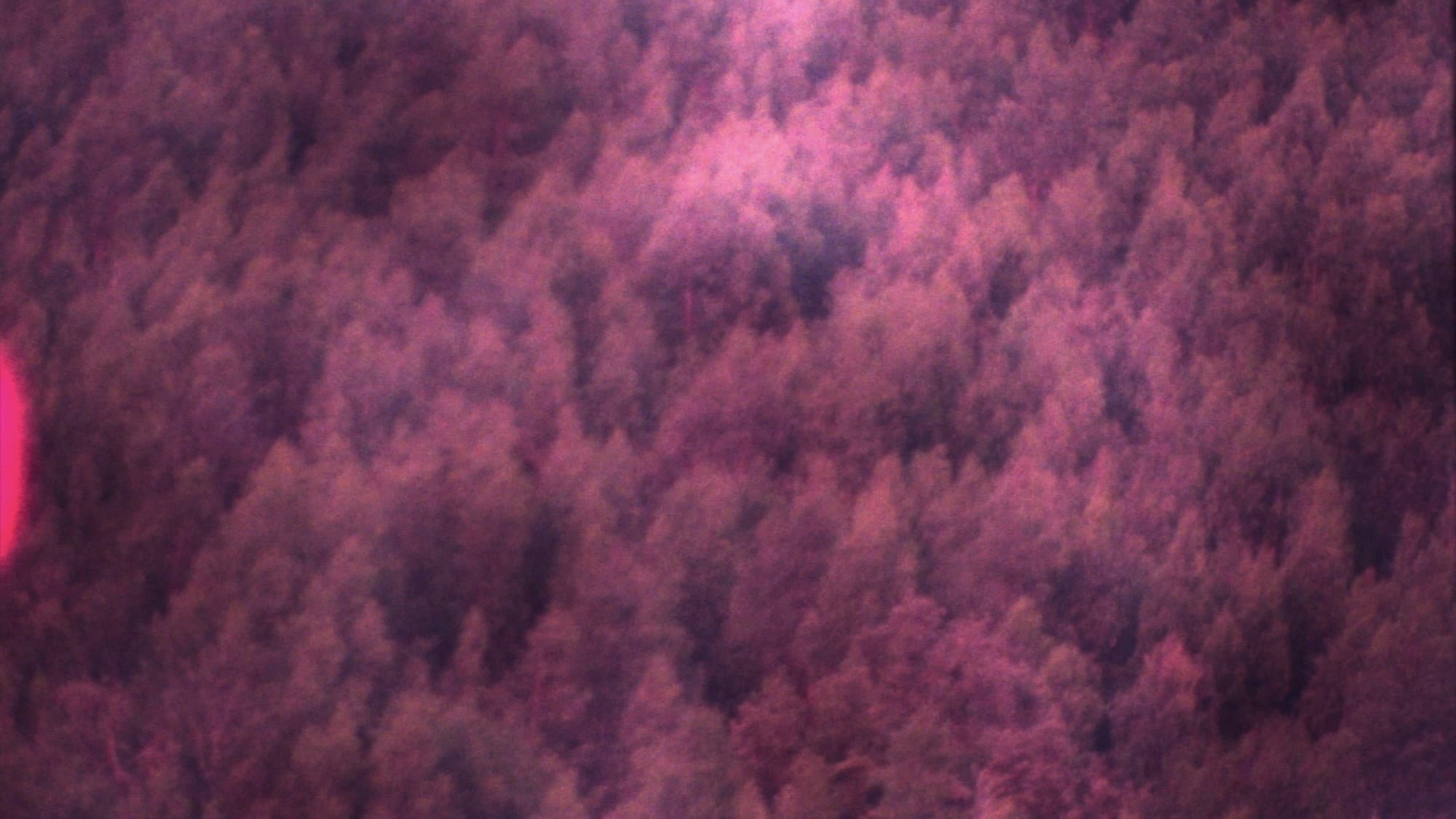 Suíte dos Viajantes