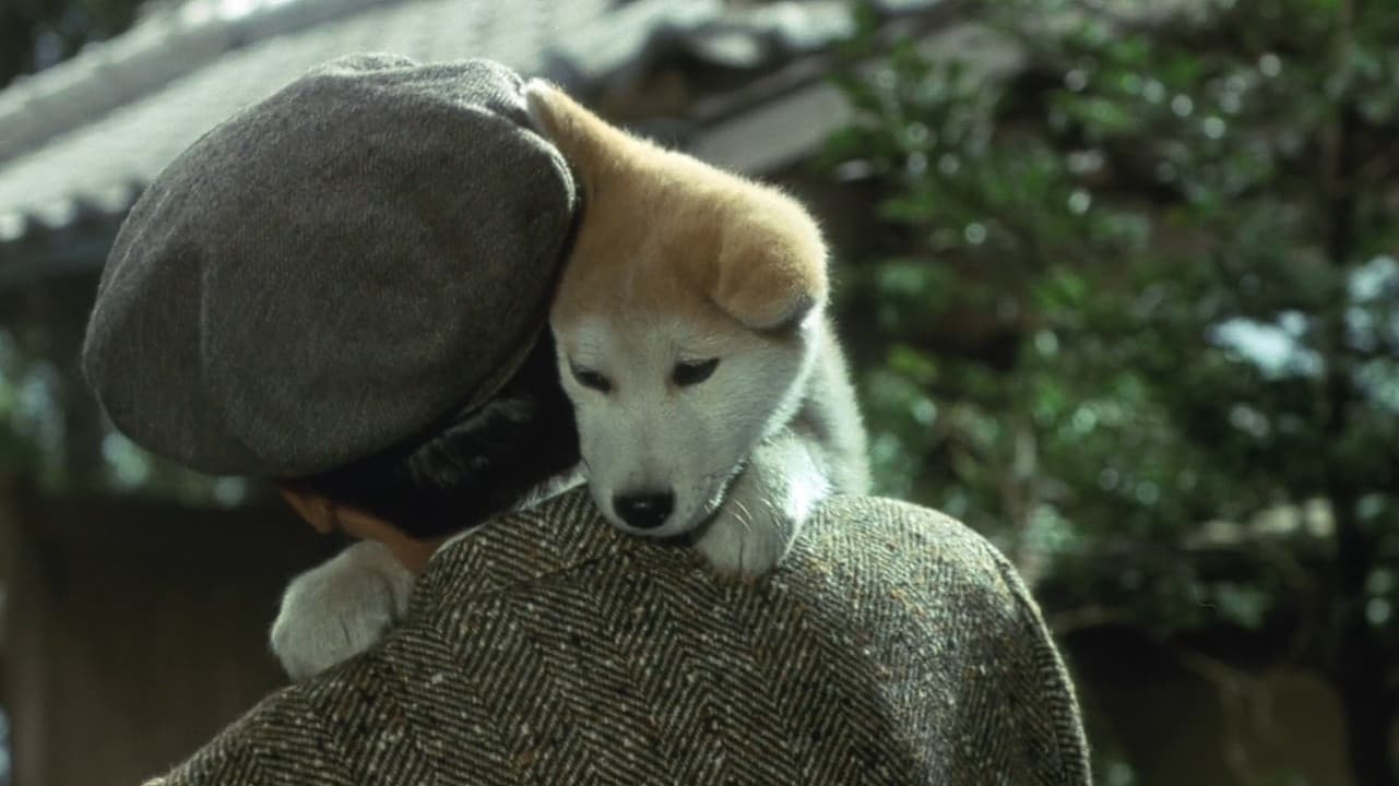 Hachiko - Wahre Freundschaft währt ewig