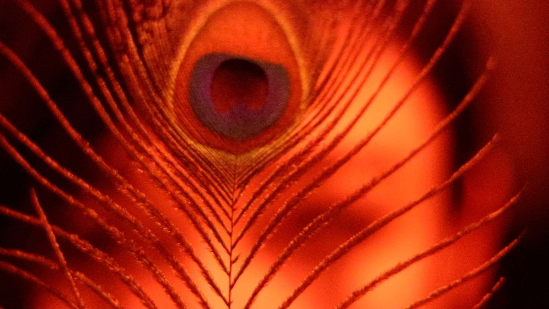 The Inner Demon / The Inner Angel