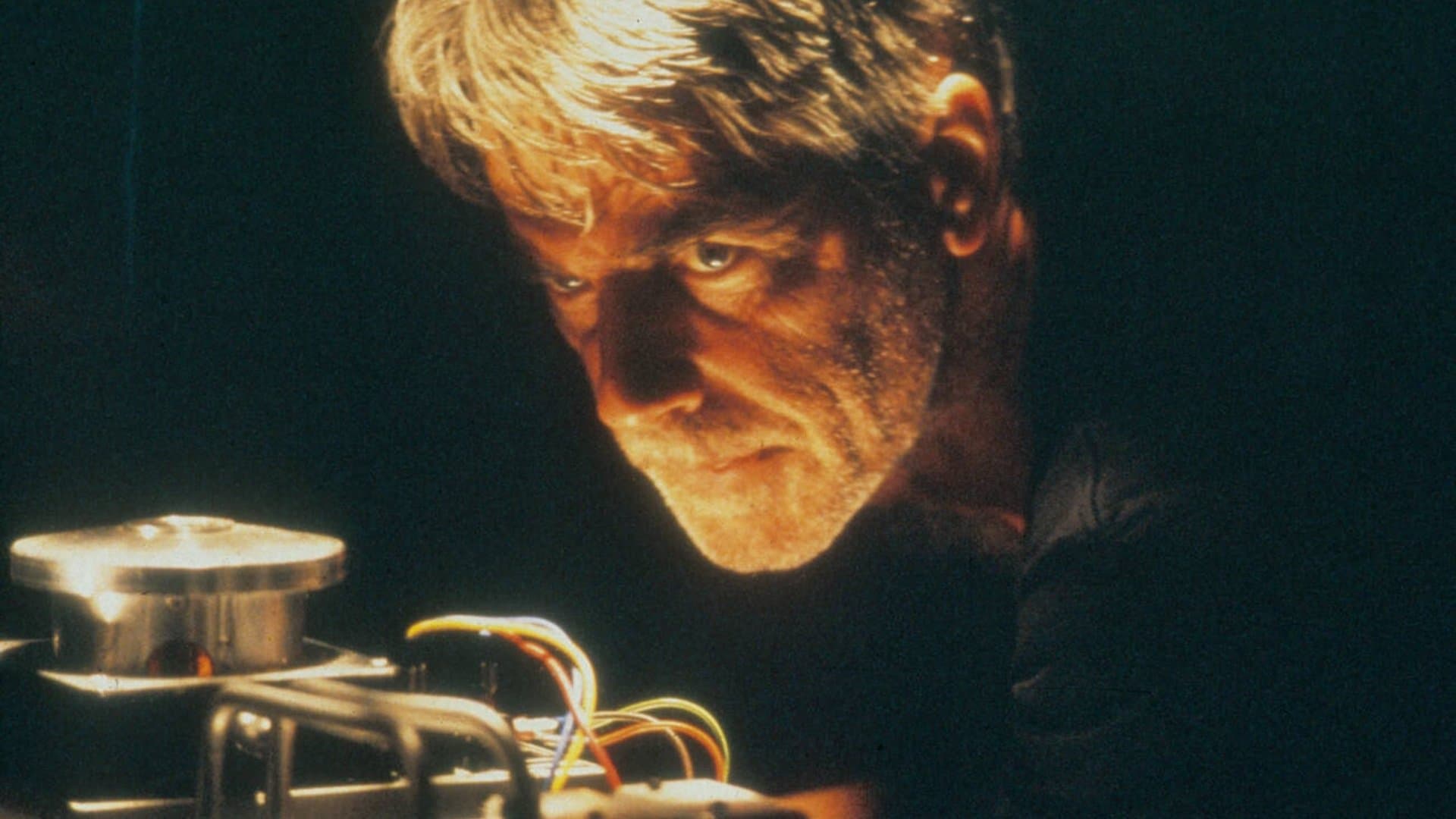 The Final Cut - Tödliches Risiko