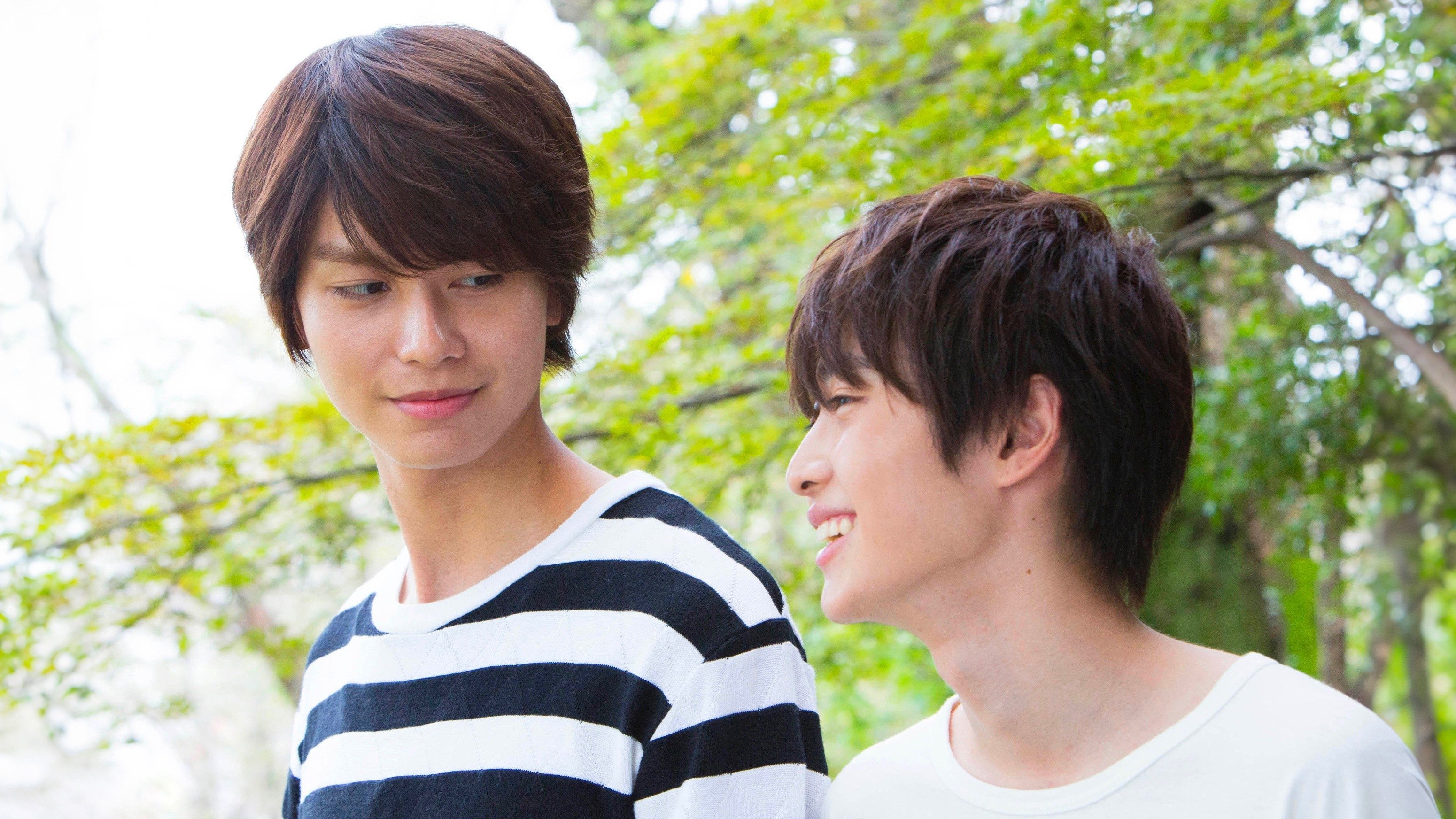 ひだまりが聴こえる