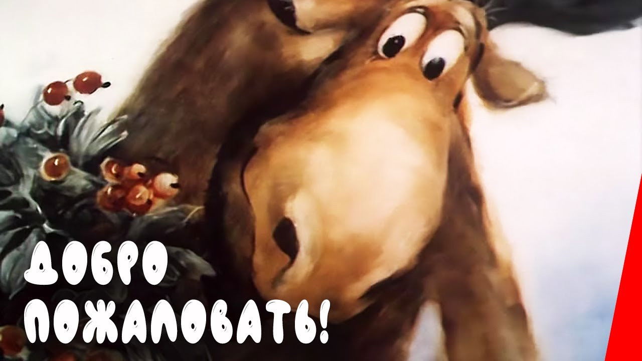 Добро пожаловать!