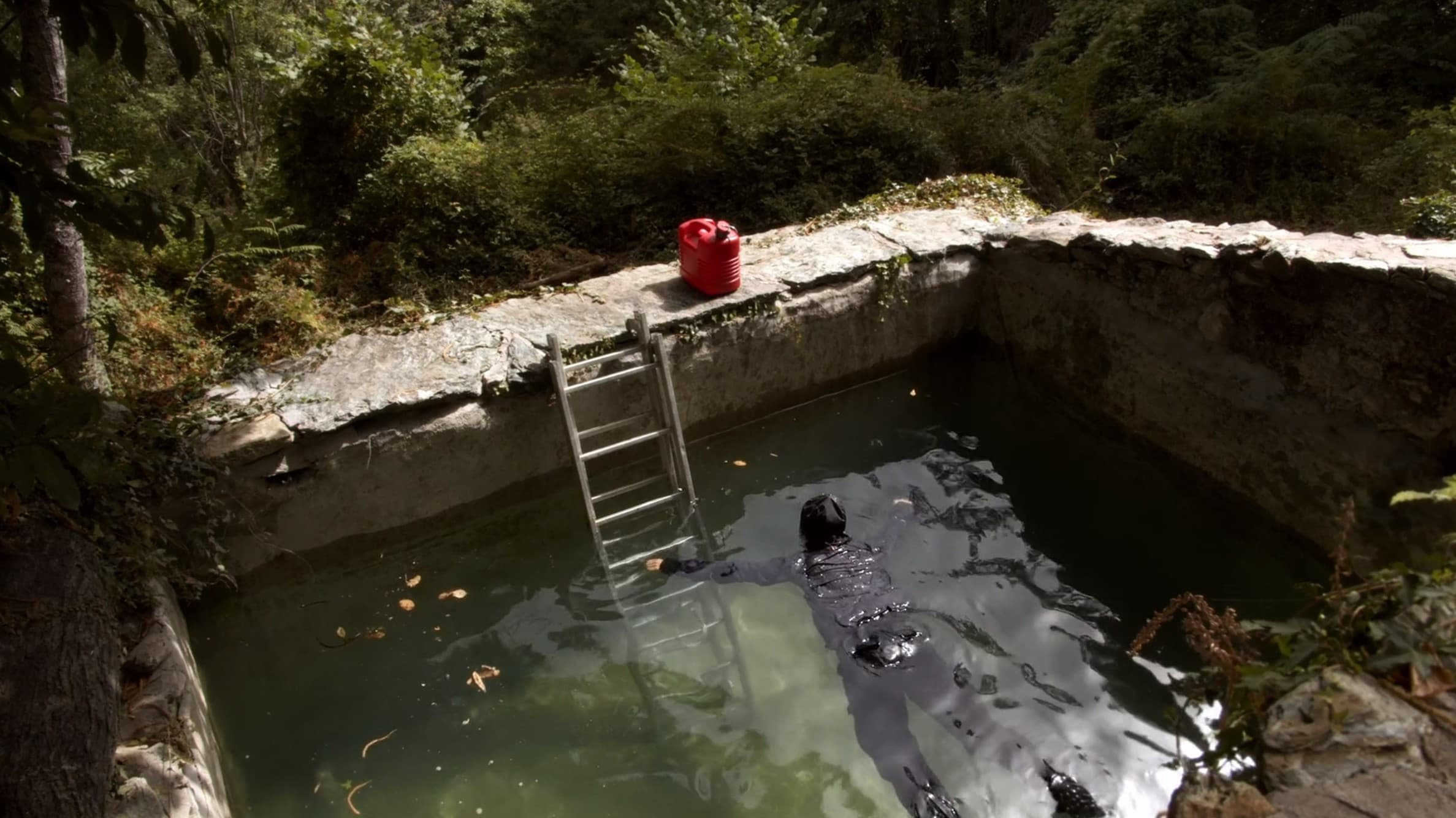 Il faut regarder le feu ou brûler dedans