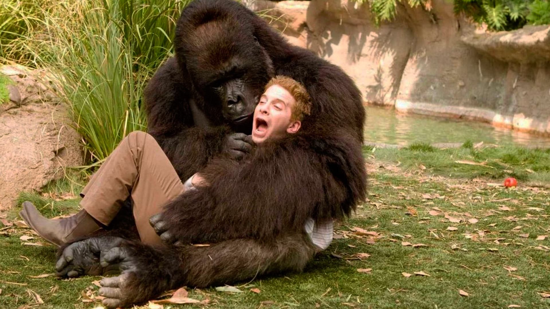 Old Dogs - Daddy oder Deal