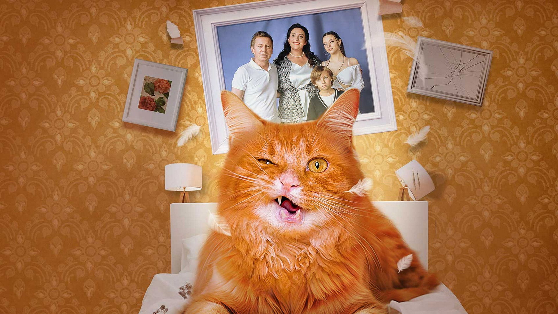 Котострофа