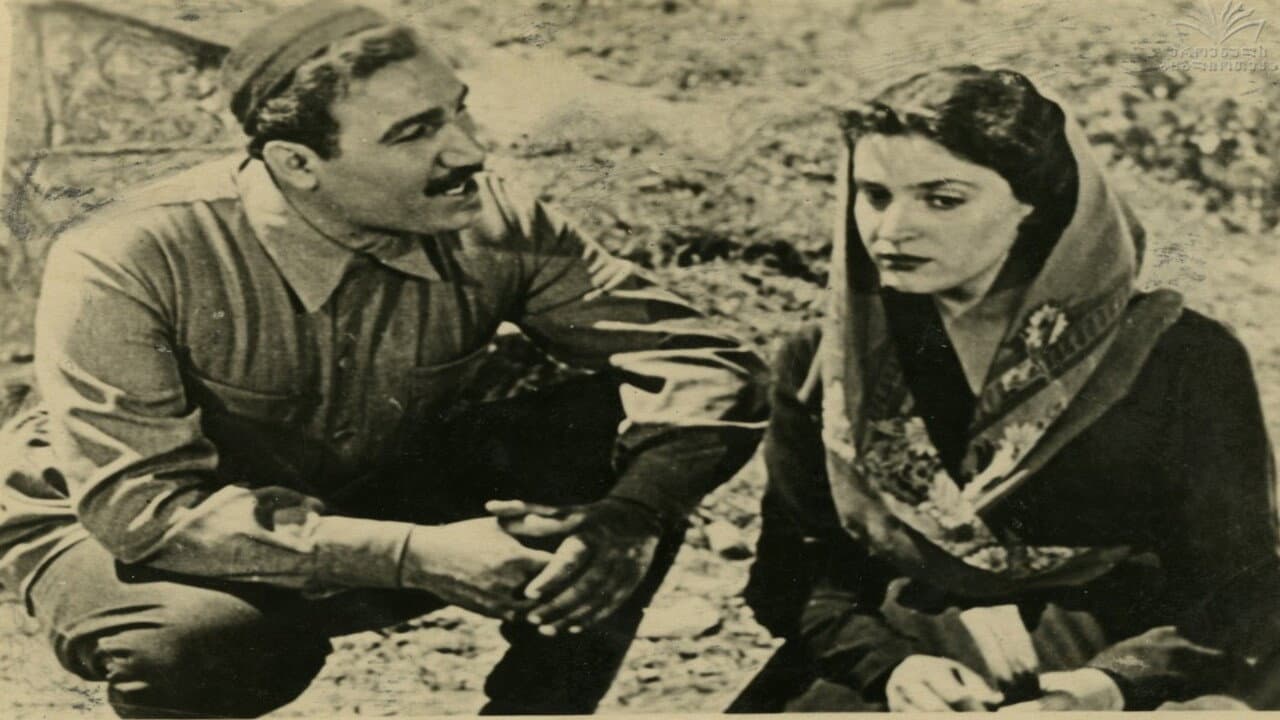 ჩრდილი გზაზე