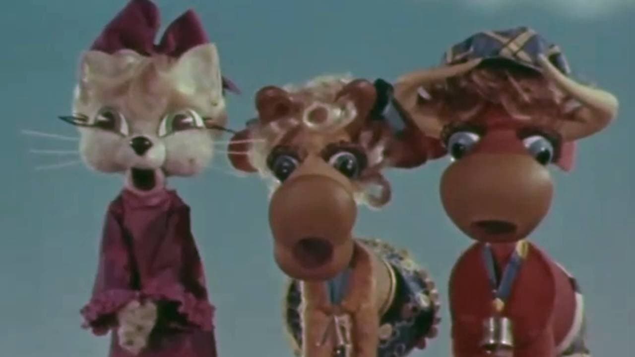 Я встретил вас