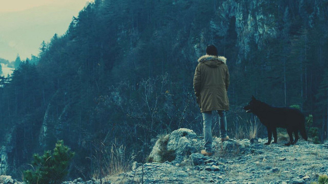 Пси умиру сами