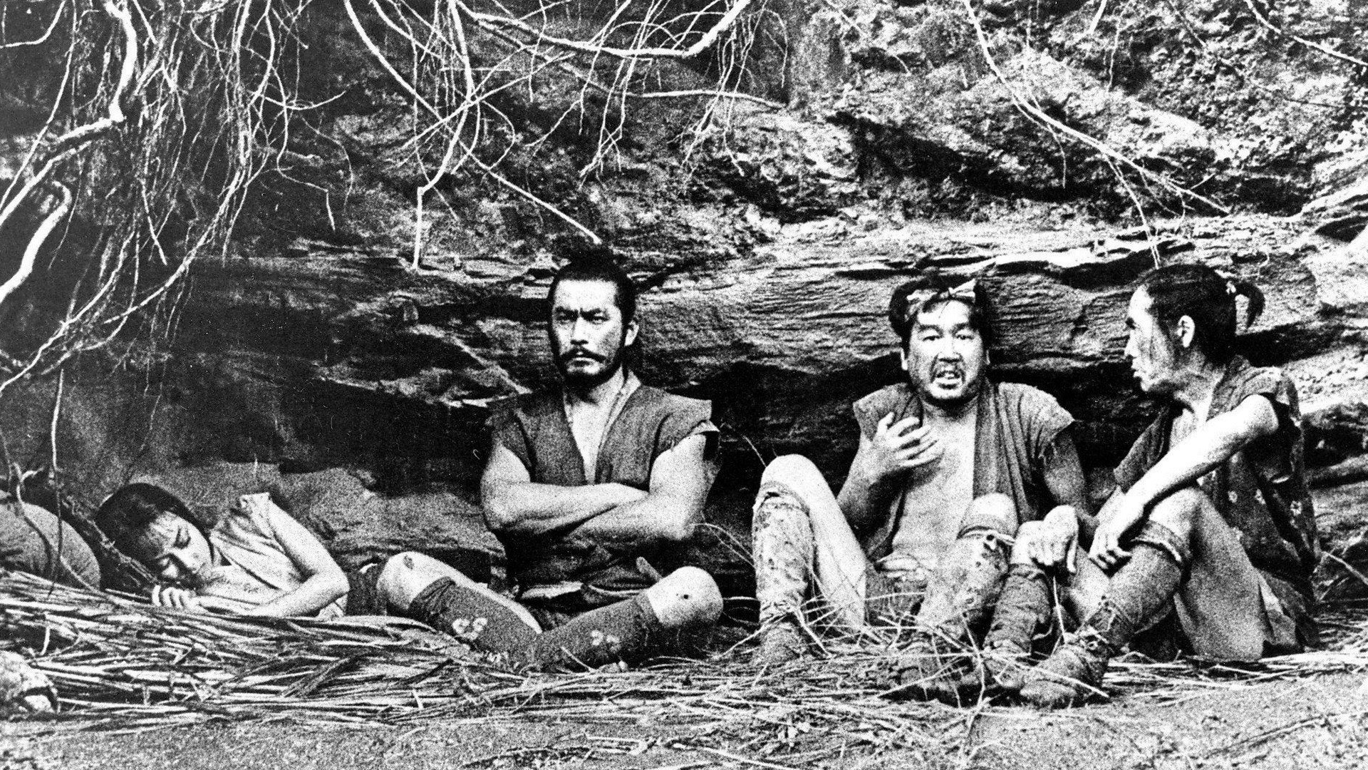 Die verborgene Festung