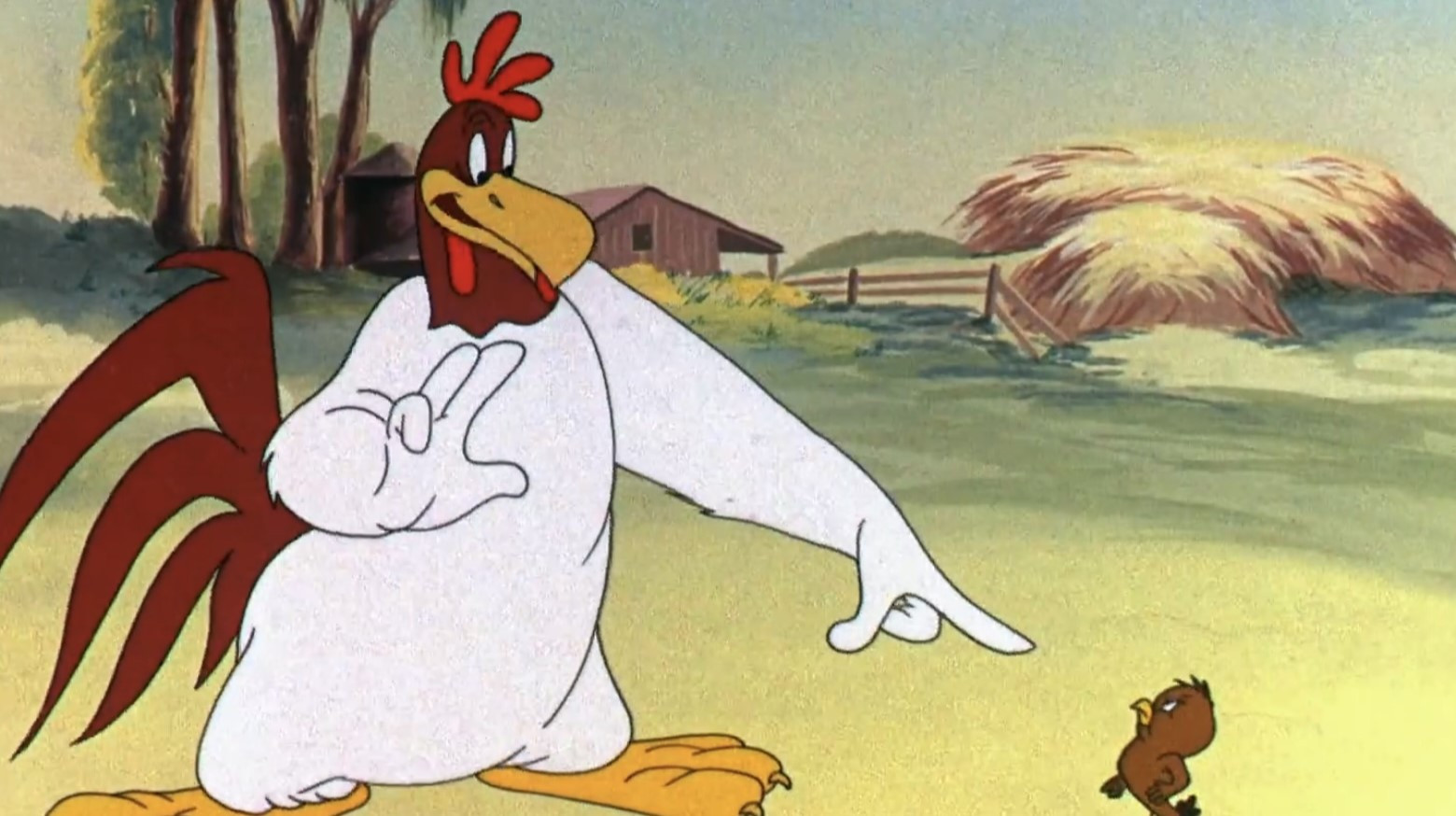 Hühnerauge, sei wachsam