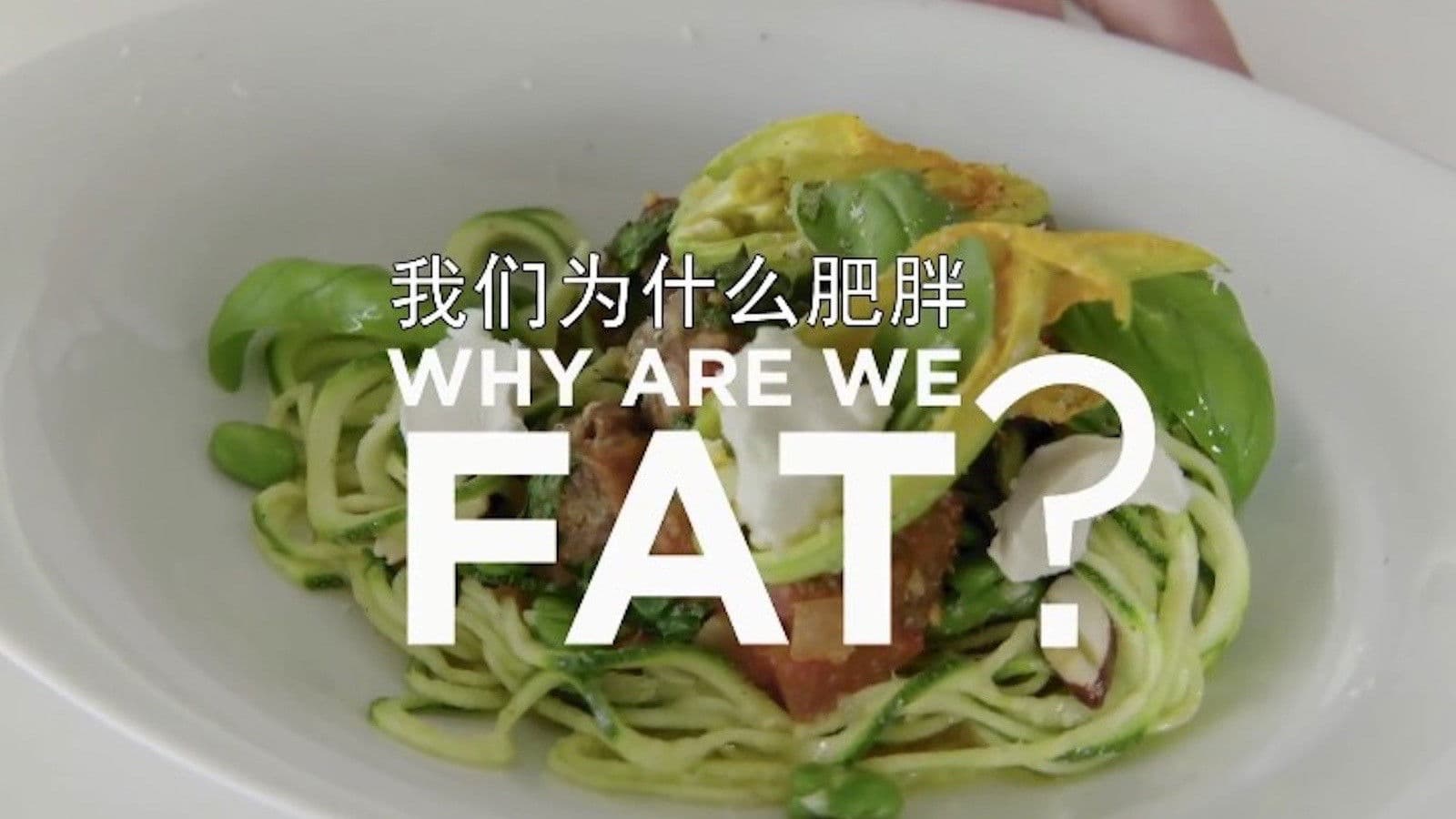 Why Are We Getting So Fat?